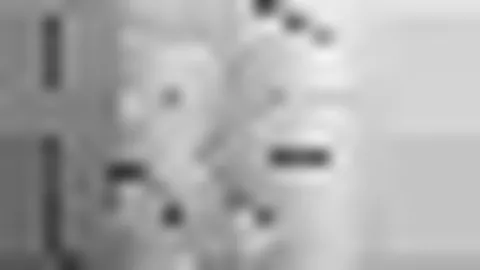 王岚嵚独占鳌头，辽宁队力克福建，内线得分王诞生