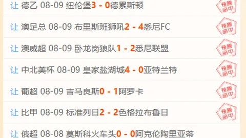 威廉希尔()官网 065335 91